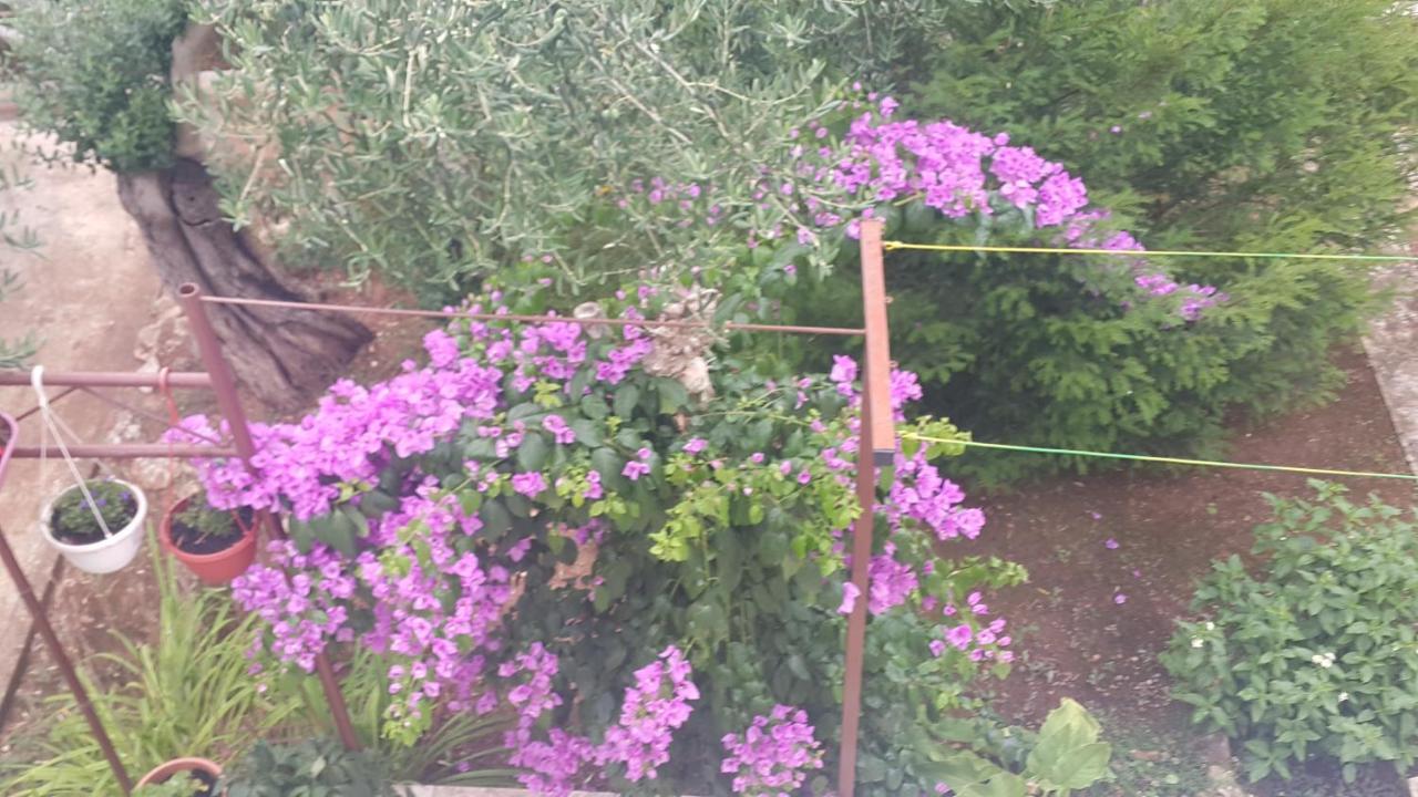 Apartmani A1 Marina, Okrug Gornji Trogir Bagian luar foto