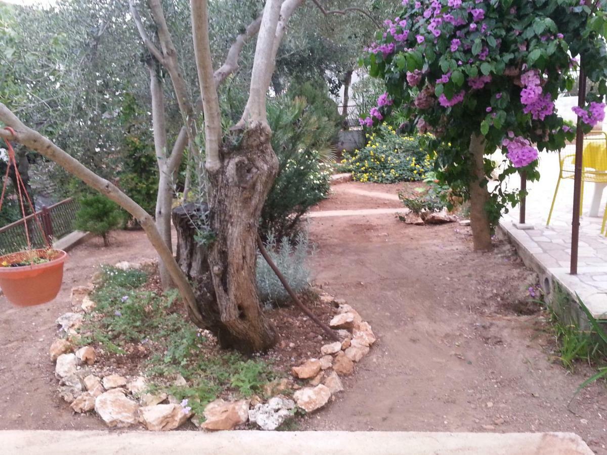 Apartmani A1 Marina, Okrug Gornji Trogir Bagian luar foto